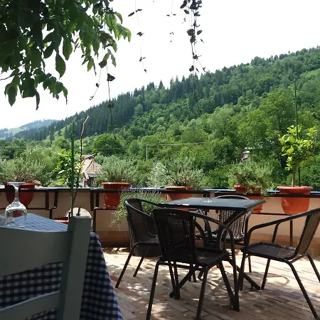 Penzion Pensiunea Total 3*